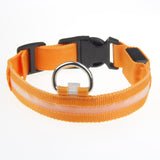 Collier Lumineux LED pour Chien – Visible et Sécurisé la Nuit