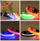 Collier Lumineux LED pour Chien – Visible et Sécurisé la Nuit