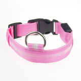 Collier Lumineux LED pour Chien – Visible et Sécurisé la Nuit