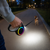Laisse Rétractable LED pour Chien 5 m – Rechargeable USB